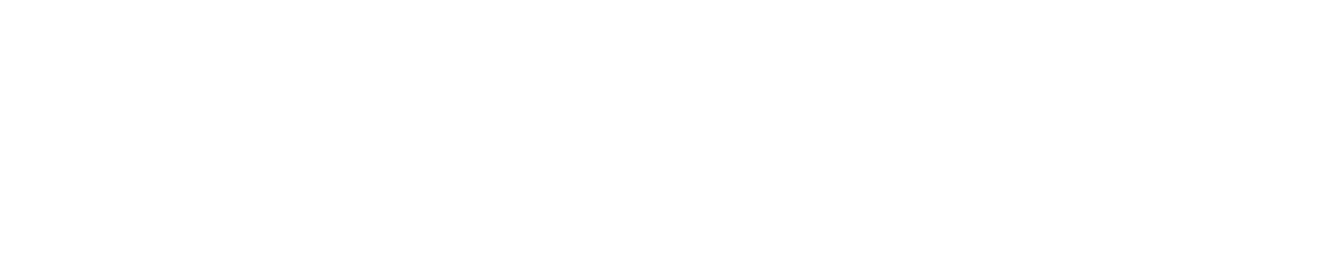 Technical Fiction